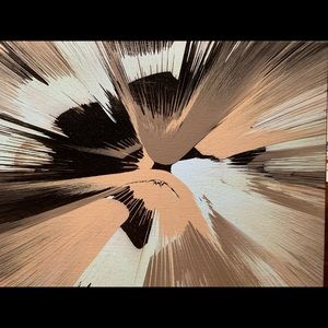 11x14 Canvas Spinart